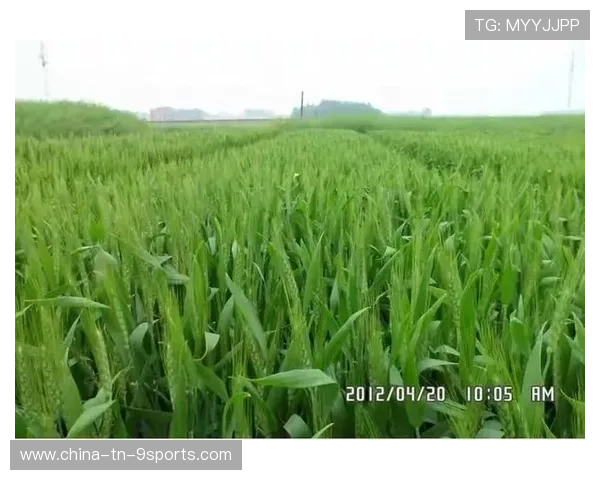 世界高尔夫巡回赛球场生态修复第188期通报，高尔夫世界级比赛