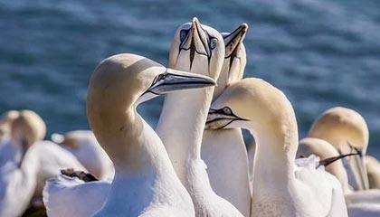 九游体育下载-库里与青少年篮球教练展开深度对话，库里亲自教学