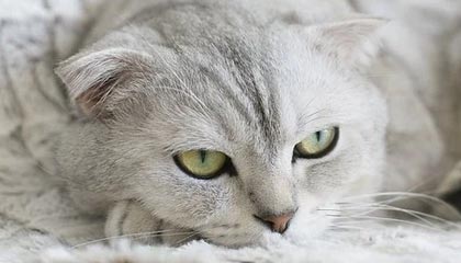 九游娱乐官方-国际俱乐部友谊赛中国举办，促进交流互鉴，国际友谊赛有啥用